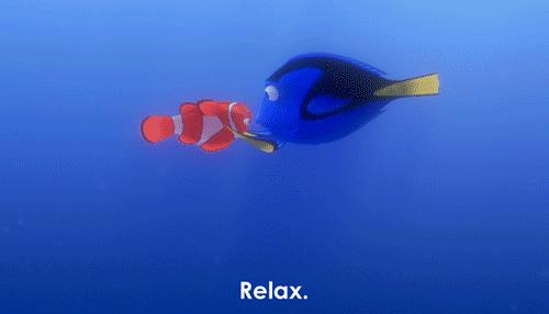 Dory calma Marlin Una gif tratta da Alla Ricerca di Nemo