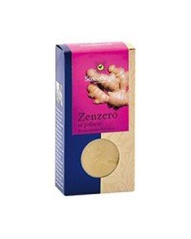 Zenzero in polvere
