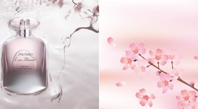 Il beauty brand Shiseido lancia il nuovo profumo primaverile Ever Bloom Sakura Art Edition Ever Bloom Sakura Art Edition l'eau de parfum di Shiseido con ciclamino e fiori di ciliegio