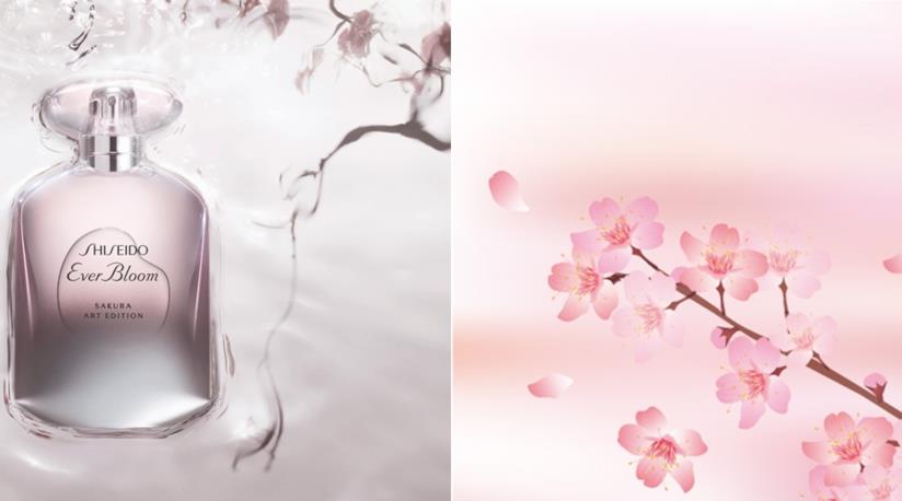 Il beauty brand Shiseido lancia il nuovo profumo primaverile Ever Bloom Sakura Art Edition Ever Bloom Sakura Art Edition l'eau de parfum di Shiseido con ciclamino e fiori di ciliegio