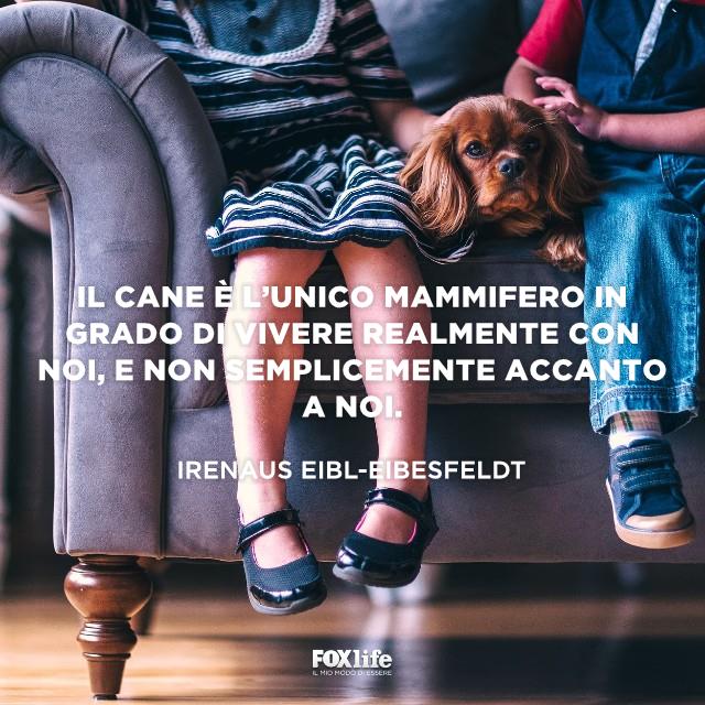 Frase Irenaus Bambini sul divano con il cane