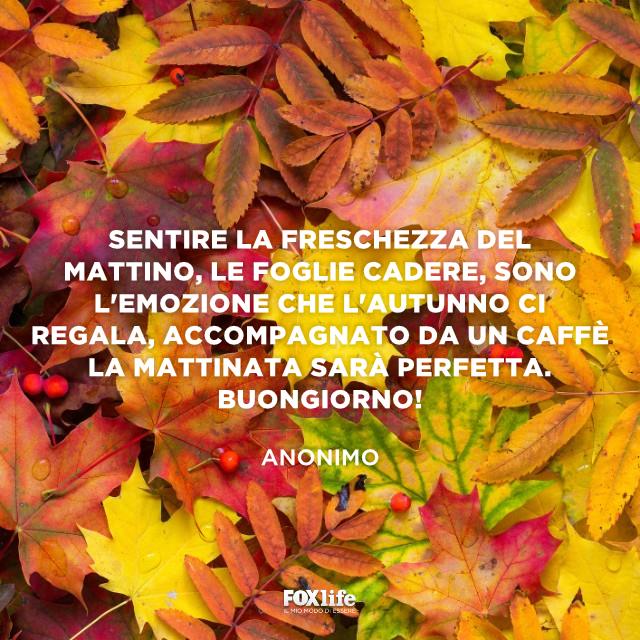 La frase del buongiorno autunnale con le foglie che cadono La frase del buongiorno autunnale con le foglie che cadono