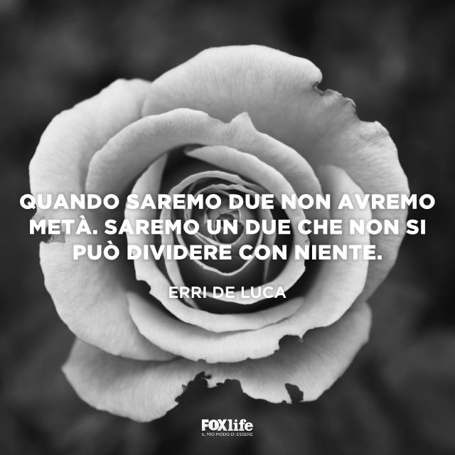 Frase De Luca Primo piano di una rosa