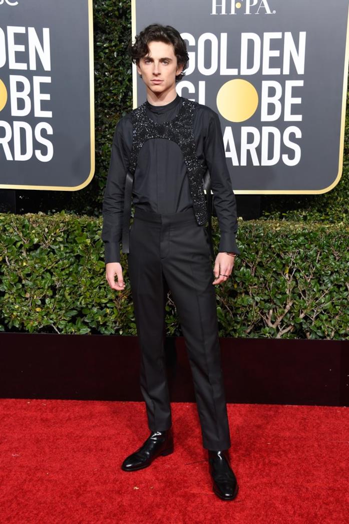 Timothee Chalamet Timothee Chalamet sul red carpet