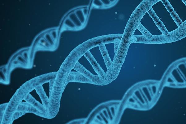 Per viaggiare sicuri, attenzione alle malattie infettive più diffuse un Virus