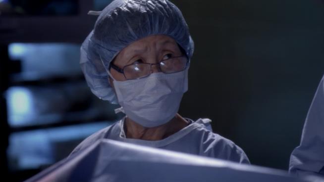 Bokhee, l'infermiera sempre presente in Grey's Anatomy Bokhee è l'infermiera dai tratti orientali di Grey's anatomy