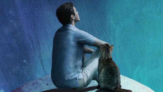 Recensione di Cronache di un gatto viaggiatore di Hiro Arikawa Un uomo e un gatto a guardare il cielo
