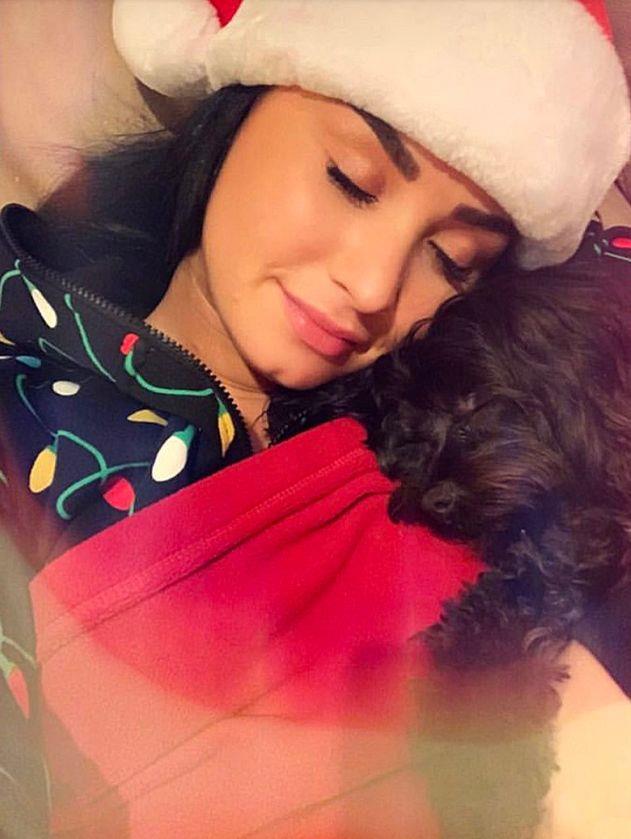 Demi Lovato e il suo cucciolo Demi Lovato festeggia il Natale col suo cucciolo