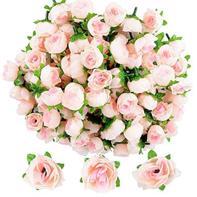 Teste di Rose