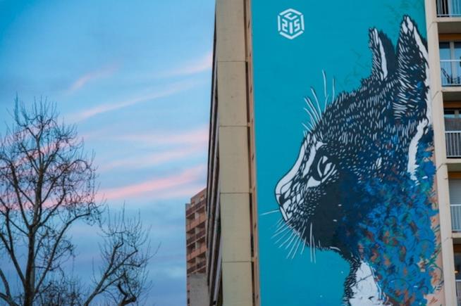 Un gattino dello street artist C215 La parete di un edificio di Parigi con opera di C215