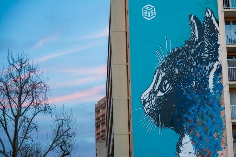Un gattino dello street artist C215 La parete di un edificio di Parigi con opera di C215