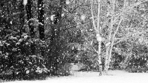 La neve dell'inverno Una nevicata in GIF