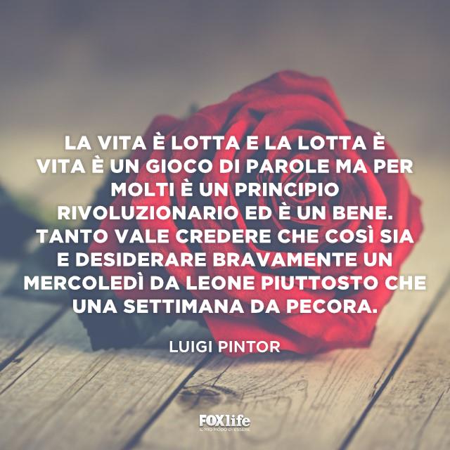 Frase Pintor Rosa rossa su un tavolo