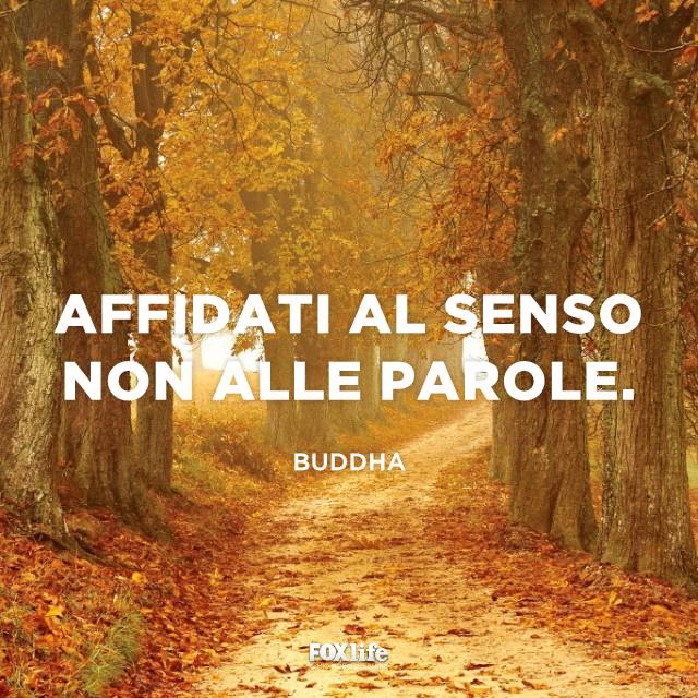 Affidati alle parole Foresta in autunno