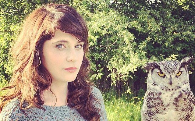 Zooey Deschanel L'attrice Zooey Deschanel posa con un gufo