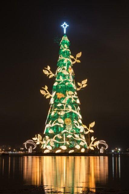 Albero di Natale di Rio Albero natalizio di Rio de Janeiro