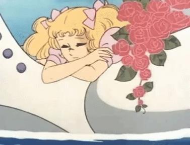 Candy Candy Candy Candy e le rose