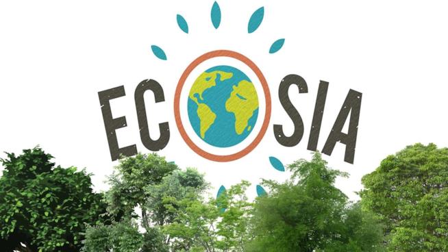 Dal motore di ricerca che pianta alberi all'uso di droni per controllare le colture: quando la tecnologia è green Ecosia