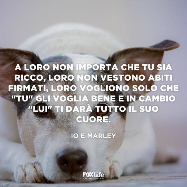 Citazione io e Marley Cagnolino accucciato a terra