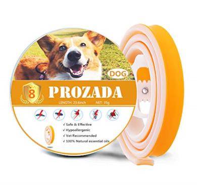 Collare antipulci per cane