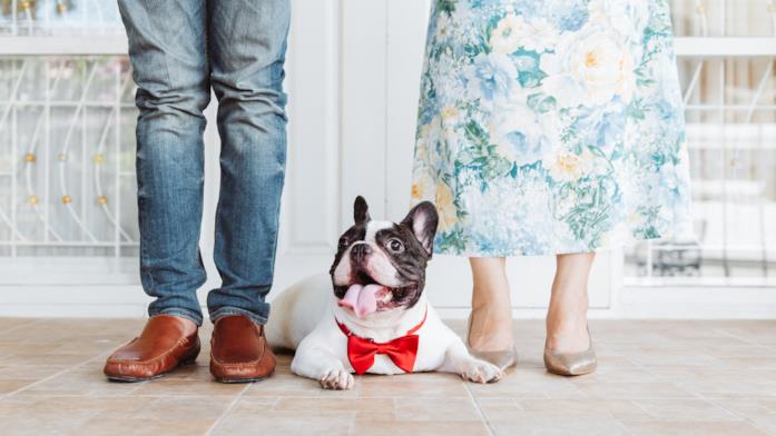 La moda e i marchi famosi vicini al mondo animale un uomo e una donna inquadrati dal bustoin giù con un cane nel mezzo con il frac rosso