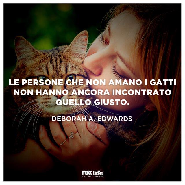 Frase Edwards Una donna bacia il suo gatto