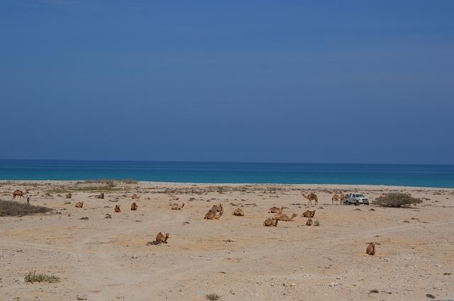 Spiaggia Oman Spiaggia Oman