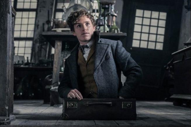 Animali Fantastici: I Crimini di Grindelwald, una scena del film Eddie Redmayne in Animali Fantastici: I Crimini di Grindelwald