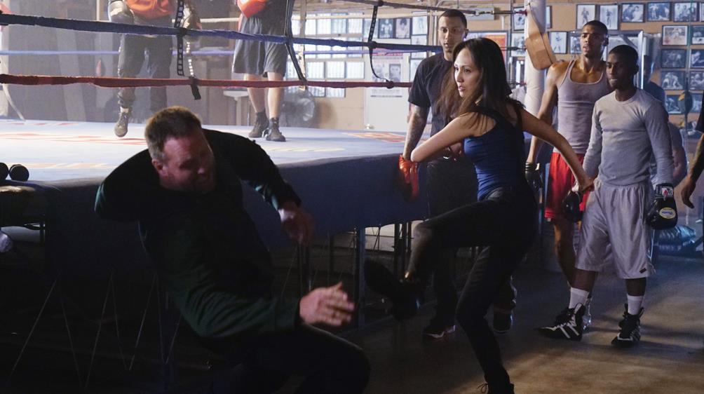 castel s07e17