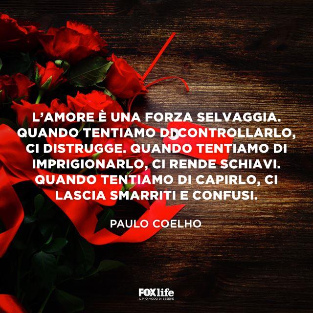 L'amore è una forza selvaggia Rose rosse su un tavolo