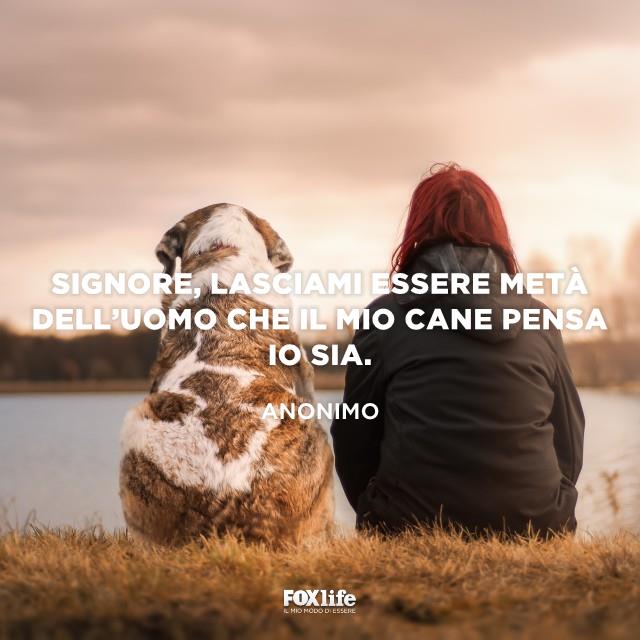 Essere degni del proprio cane Donna di spalle seduta in riva al lago con il proprio cane