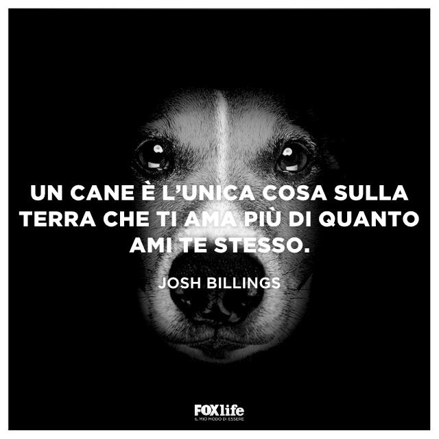 Frase Josh Primo piano di un cane in bianco e nero