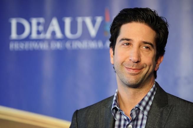 L'attore David Schwimmer David Schwimmer