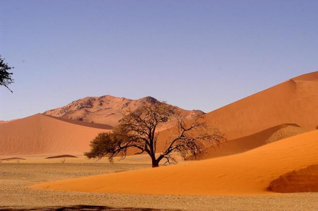 Alla scoperta della Namibia, deserto rosso deserto rosso namibia