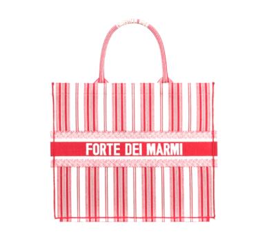 Borsa Dior Book Tote in tela ricamata