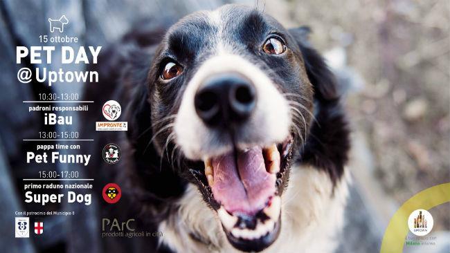 Pet Day ad UpTown Locandina Pet Day ad UpTown