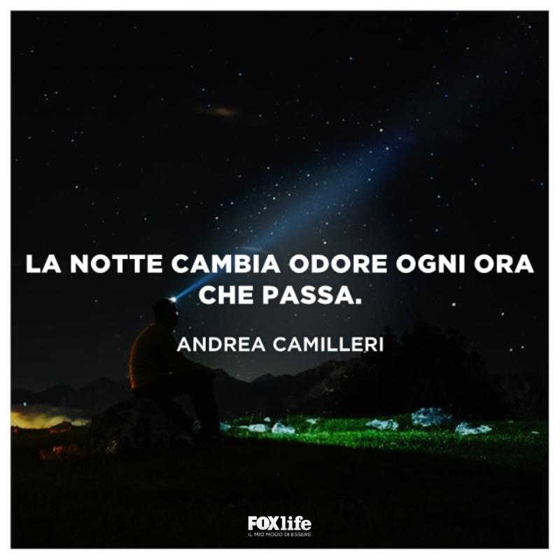 Frase sulla noitte Uomo osserva il cielo stellato