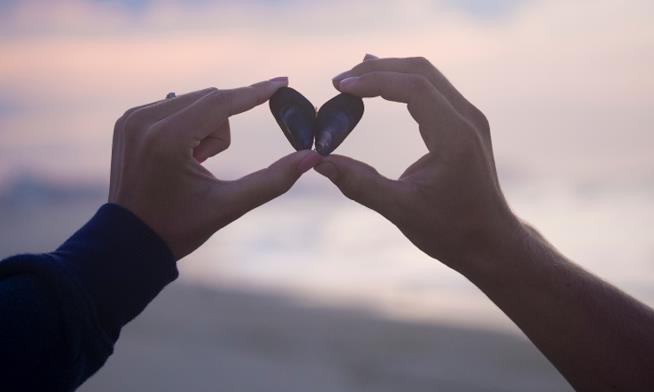 San Valentino: sono i single a credere davvero nel grande amore Single alla ricerca del vero amore