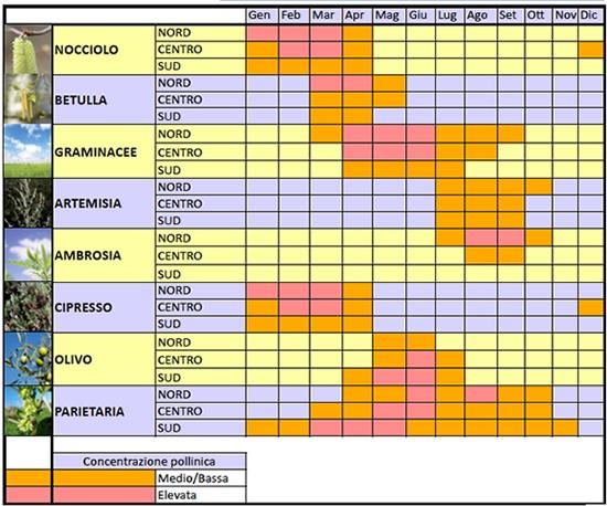 Calendario allergia graminacee periodo Calendario per la concentrazione pollinica
