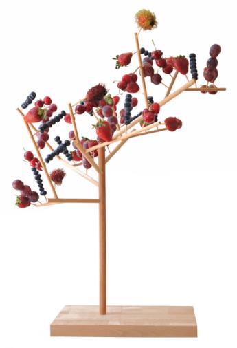 Espositore per alimenti Mangier - Arbre à manger