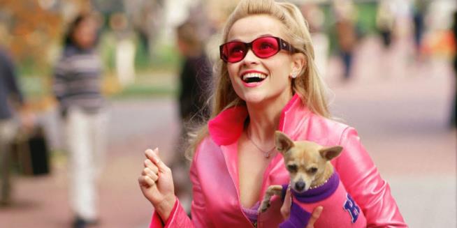 I must have rosa dell'estate 2015 Reese Whiterspoon di rosa vestita in una scena del film La rivincita delle bionde