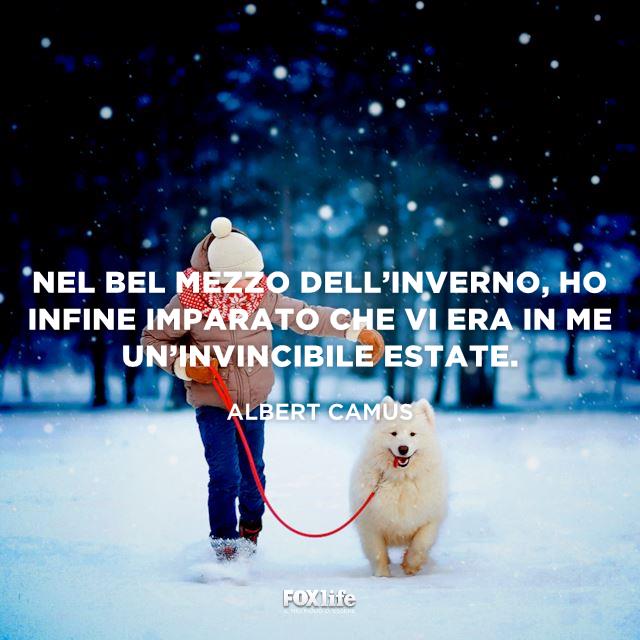 Citazione Camus Bambina cammina nella neve con un cane