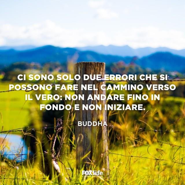 Errori nel cammino del vero Campo d'erba delimitato da un filo metallico
