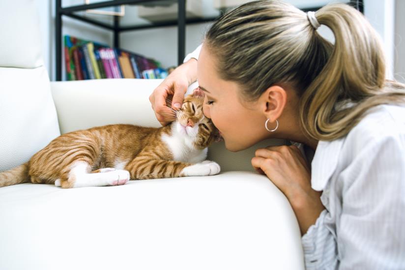 Cose che fa chi possiede un gatto Ragazza coccola il suo gatto