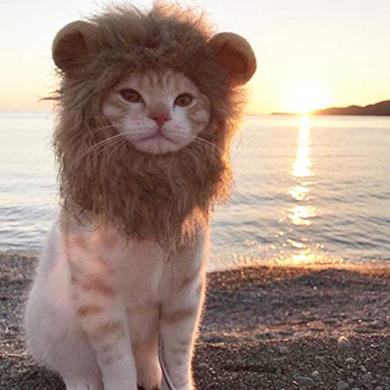 Costumi per Cani e Gatti
