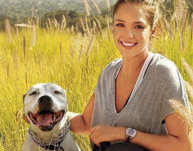 Jessica Alba e l'american Bulldog Bowie L'attrice Jessica Alba con il cane Bowie