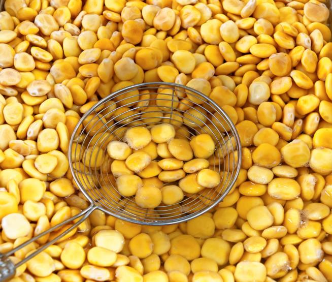 Lupini Legumi