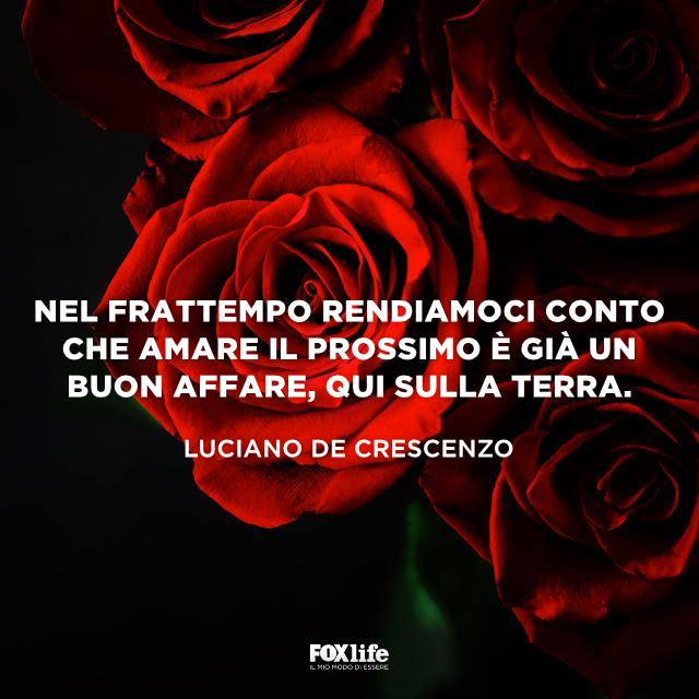 Frase amare il prossimo Luciano De Crescenzo Primo piano di un mezzo di rose rosse