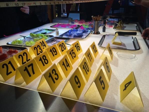 Le stagioni di C.S.I.: salutiamo la 14 aspettando la 15 - 5