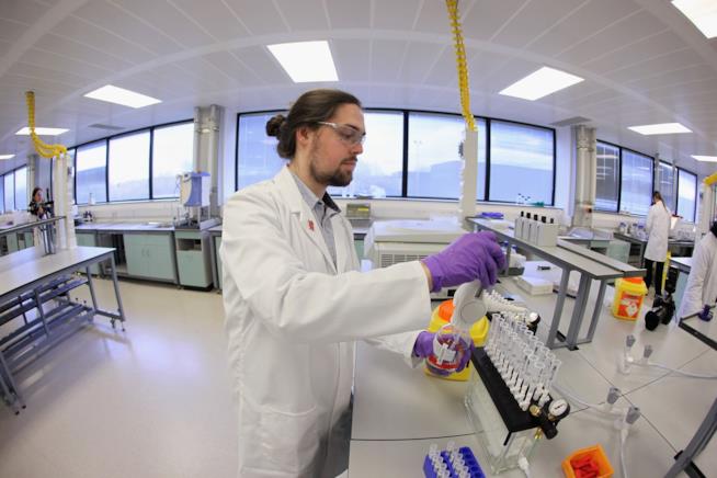 Scienziati individuano le cellule staminali per rigenerare le ossa Scienziati al lavoro sulle staminali scheletriche